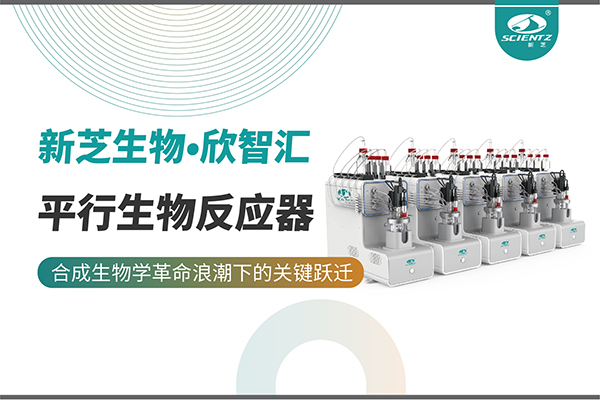 培養(yǎng)菌株和評(píng)估工藝參數(shù)影響太難太慢？平行生物反應(yīng)器提供關(guān)鍵解決方案！