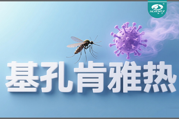 基孔肯雅熱疫情升級！新芝生物硬核技術助力病毒精準診斷