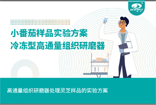 冷凍型高通量組織研磨器處理小番茄樣品的實(shí)驗(yàn)方案