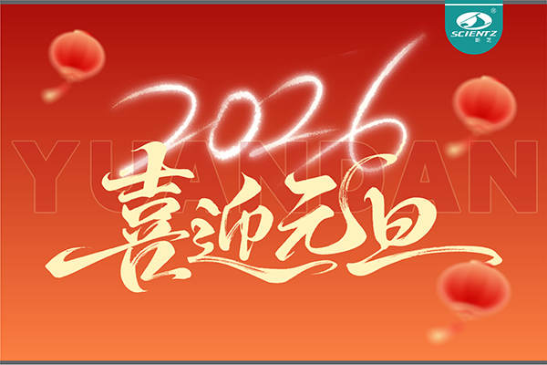 董事長周芳女士新年獻詞：心有定力，沐光而行