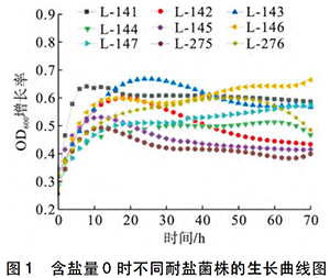 實(shí)驗結(jié)果