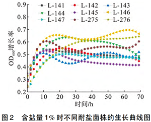 實(shí)驗結(jié)果