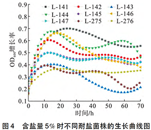 實(shí)驗結(jié)果
